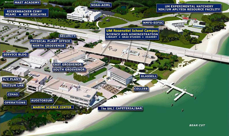 University of Miami Rosenstiel School Campus Map